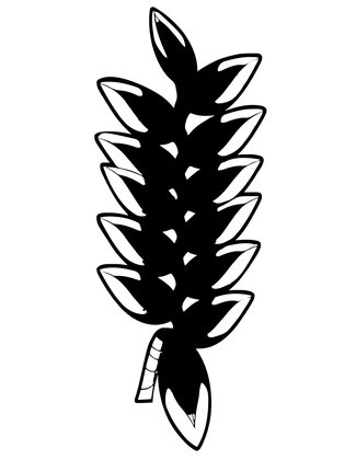 Heliconia Lobster Claw - Free printable coloring page