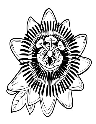 Passion Flower - Free printable coloring page