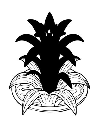 Tropical Bromeliad - Free printable coloring page