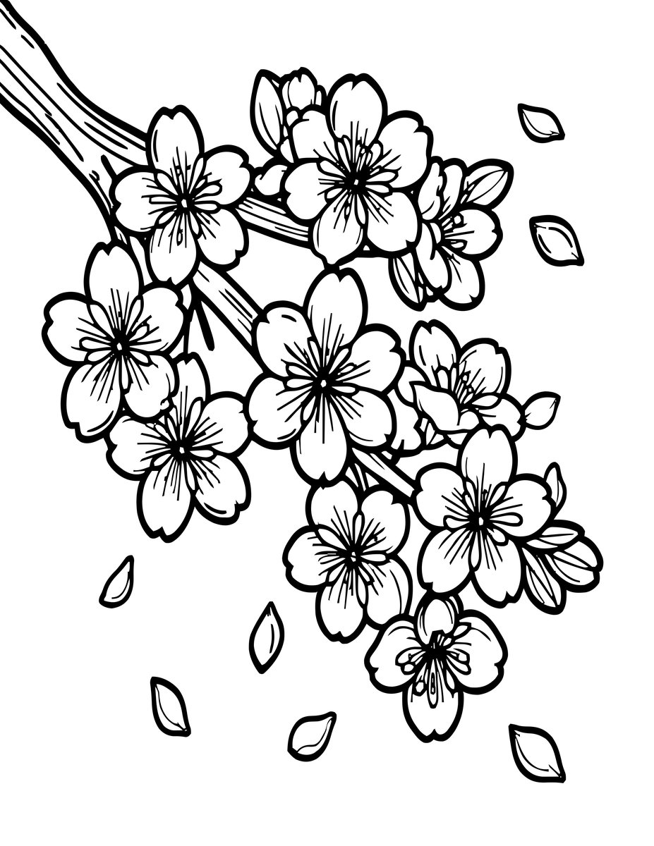Cherry Blossoms (Spring) - free printable coloring page