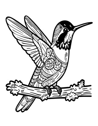 Fiery-Throated - Free printable coloring page