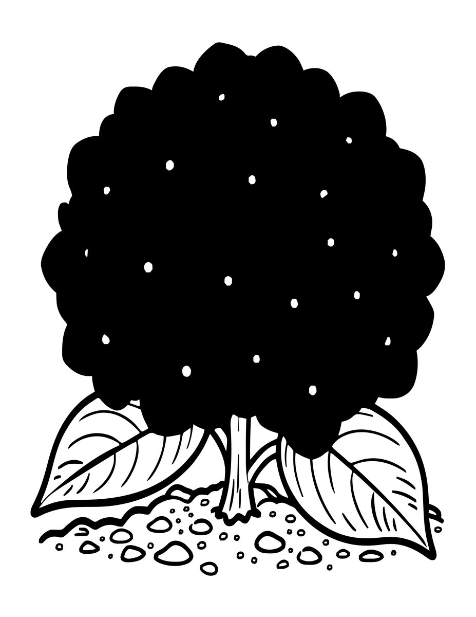 Purple Hydrangea - free printable coloring page
