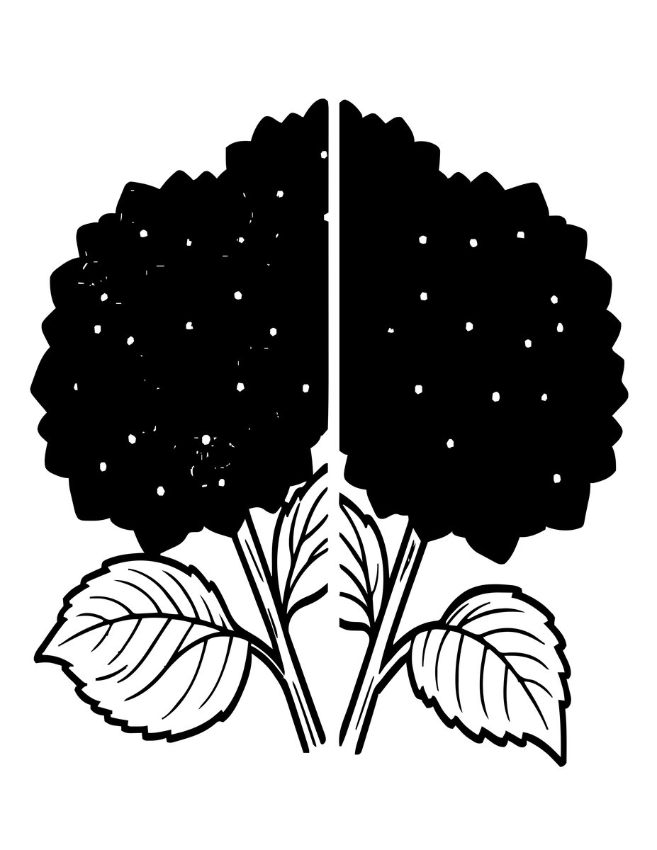 Hydrangea Color Change - free printable coloring page