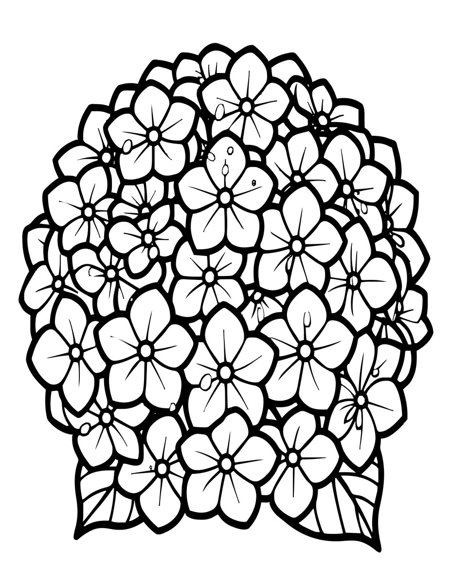 Hydrangea and Dew - free printable coloring page