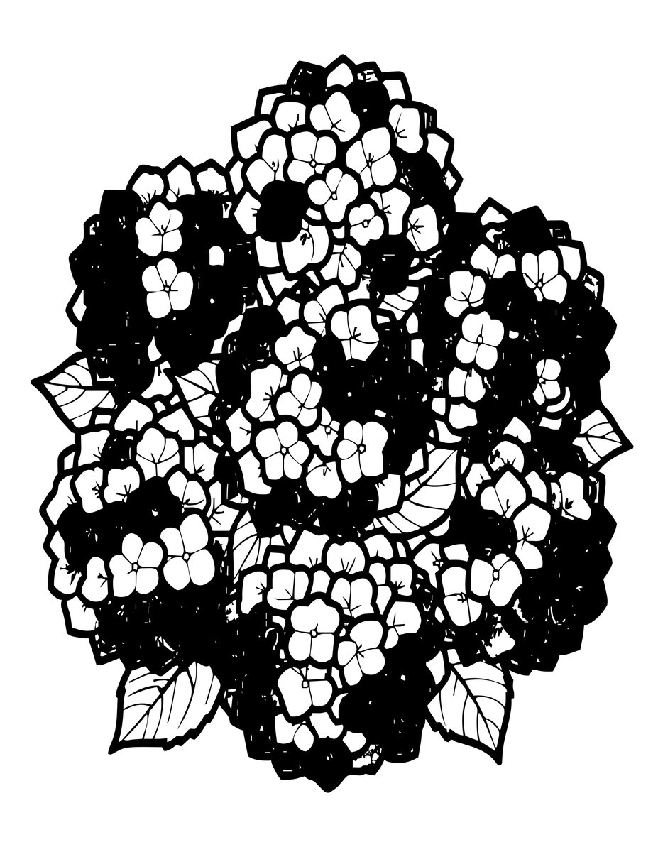 Hydrangea Bush - free printable coloring page