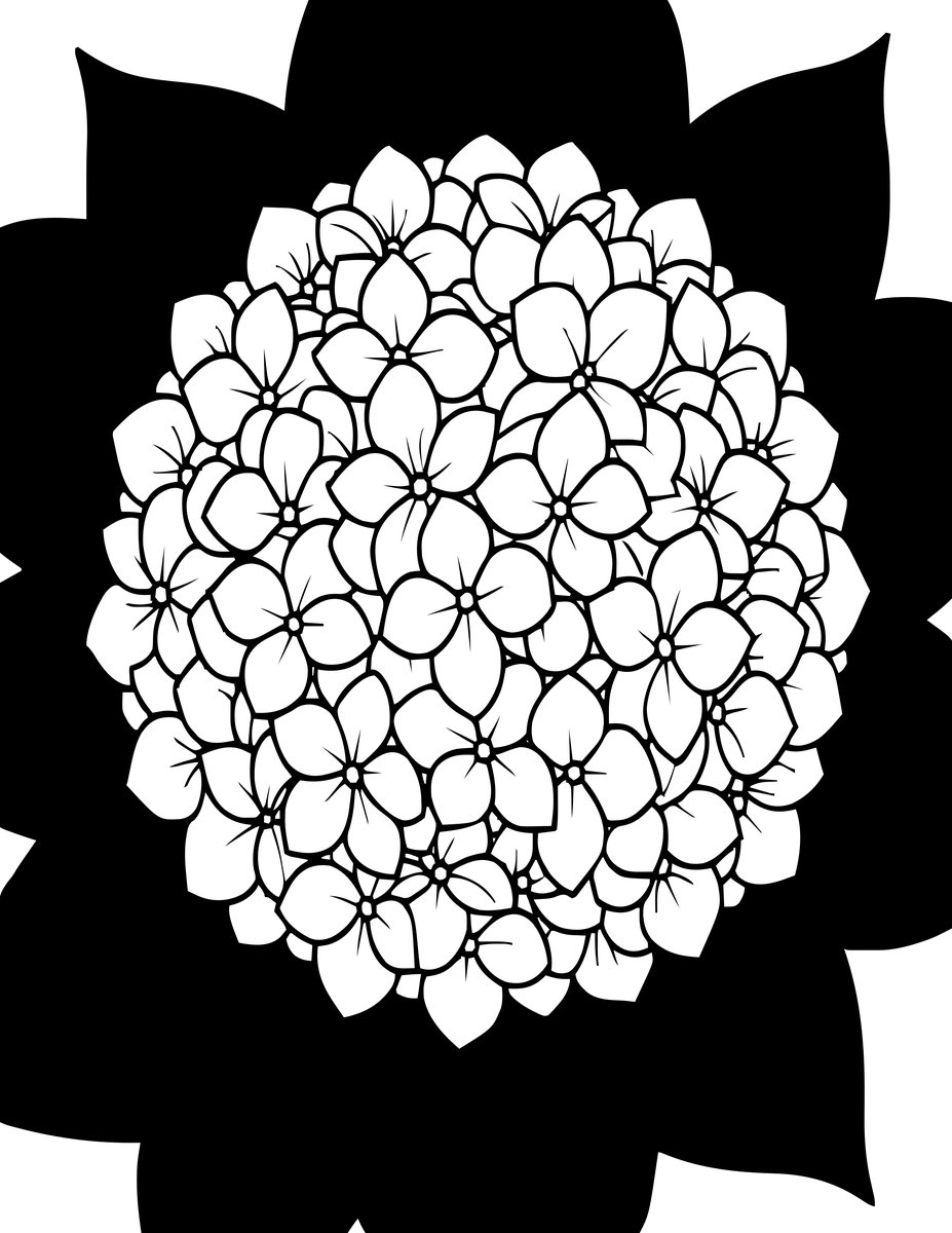 White Hydrangea - free printable coloring page