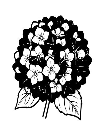 Blue Hydrangea - Free printable coloring page