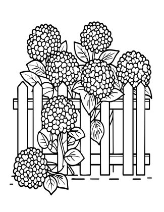 Hydrangea and Fence - Free printable coloring page