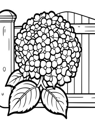 Bigleaf Hydrangea - Free printable coloring page