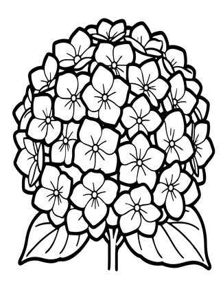 Hydrangea at Dawn - Free printable coloring page
