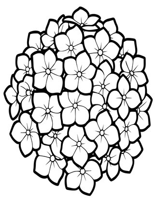 Hydrangea Close-Up - Free printable coloring page
