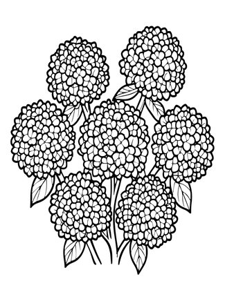 Hydrangea Autumn - Free printable coloring page
