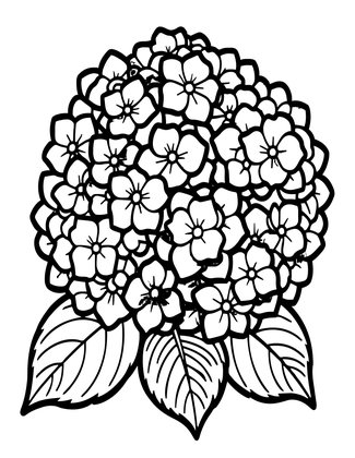 Hydrangea at Night - Free printable coloring page