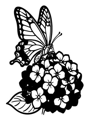 Hydrangea and Butterfly - Free printable coloring page