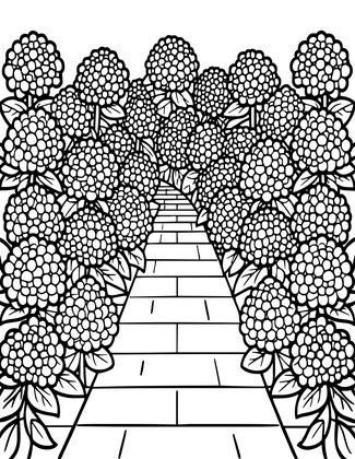 Hydrangea Alley - Free printable coloring page