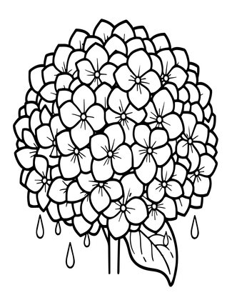 Hydrangea in Rain - Free printable coloring page