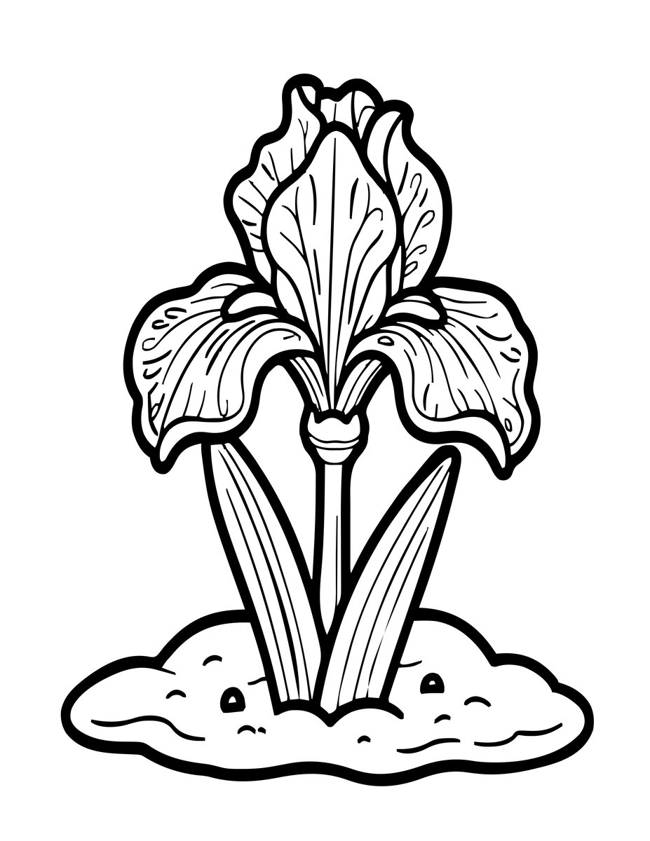 Dwarf Iris - free printable coloring page