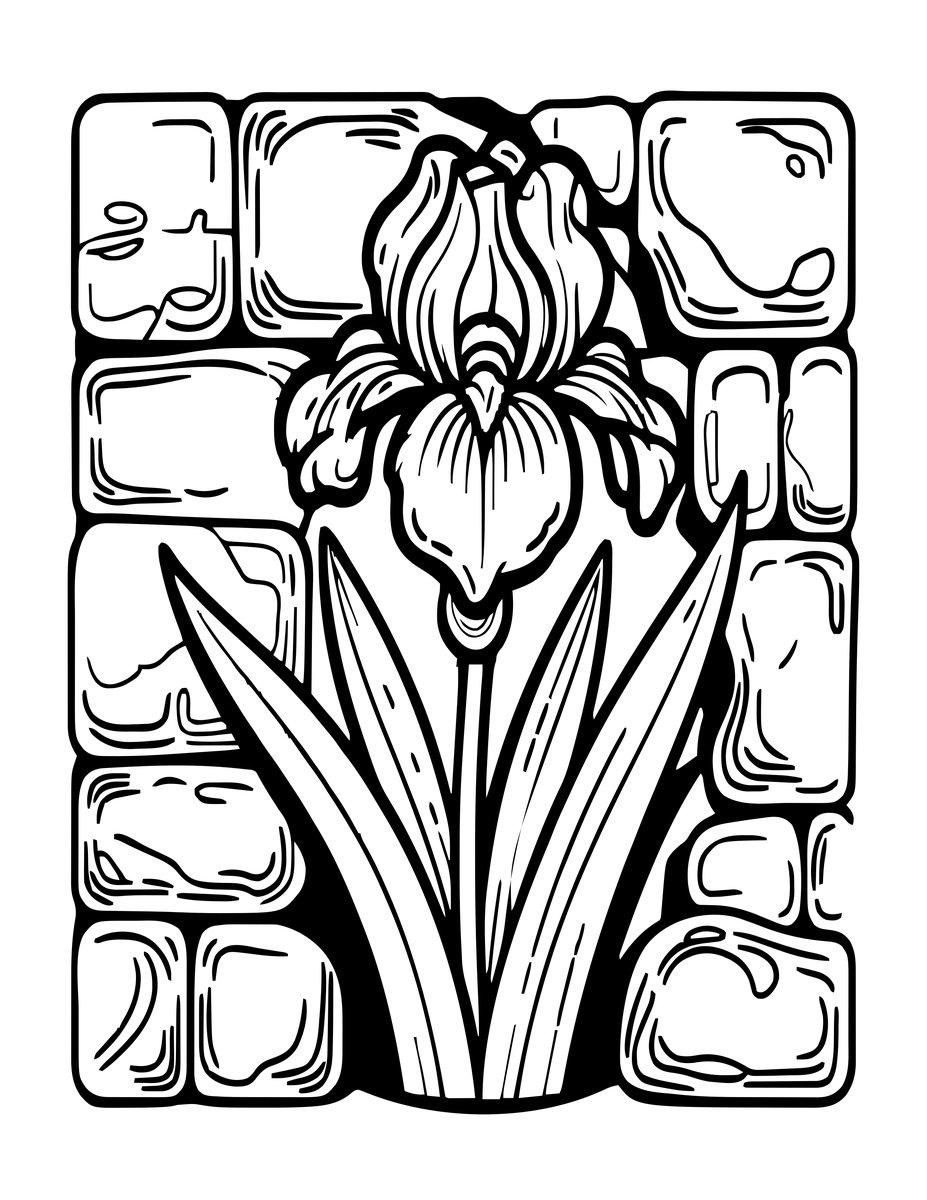 Wild Iris - free printable coloring page