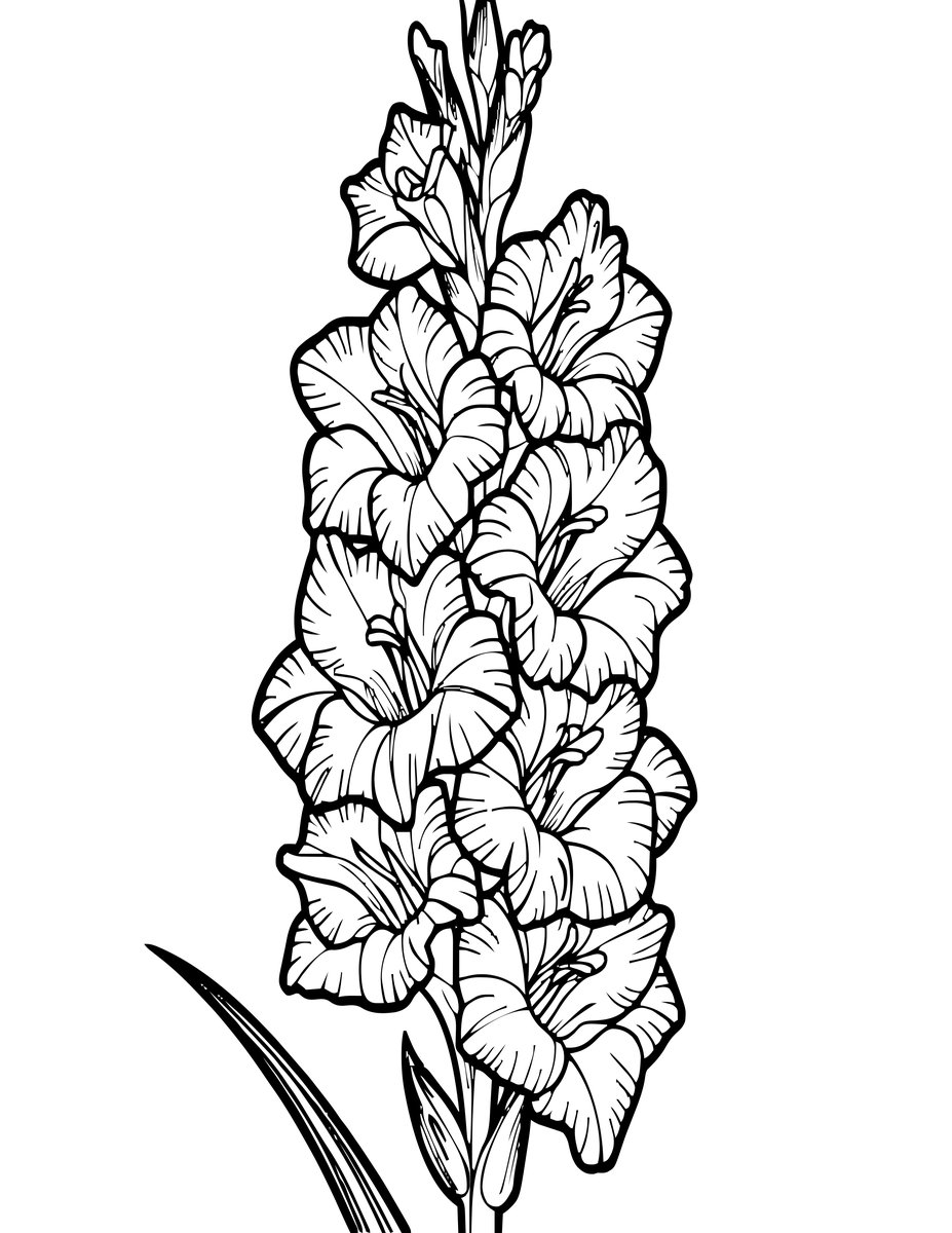 Gladiolus Spike - free printable coloring page