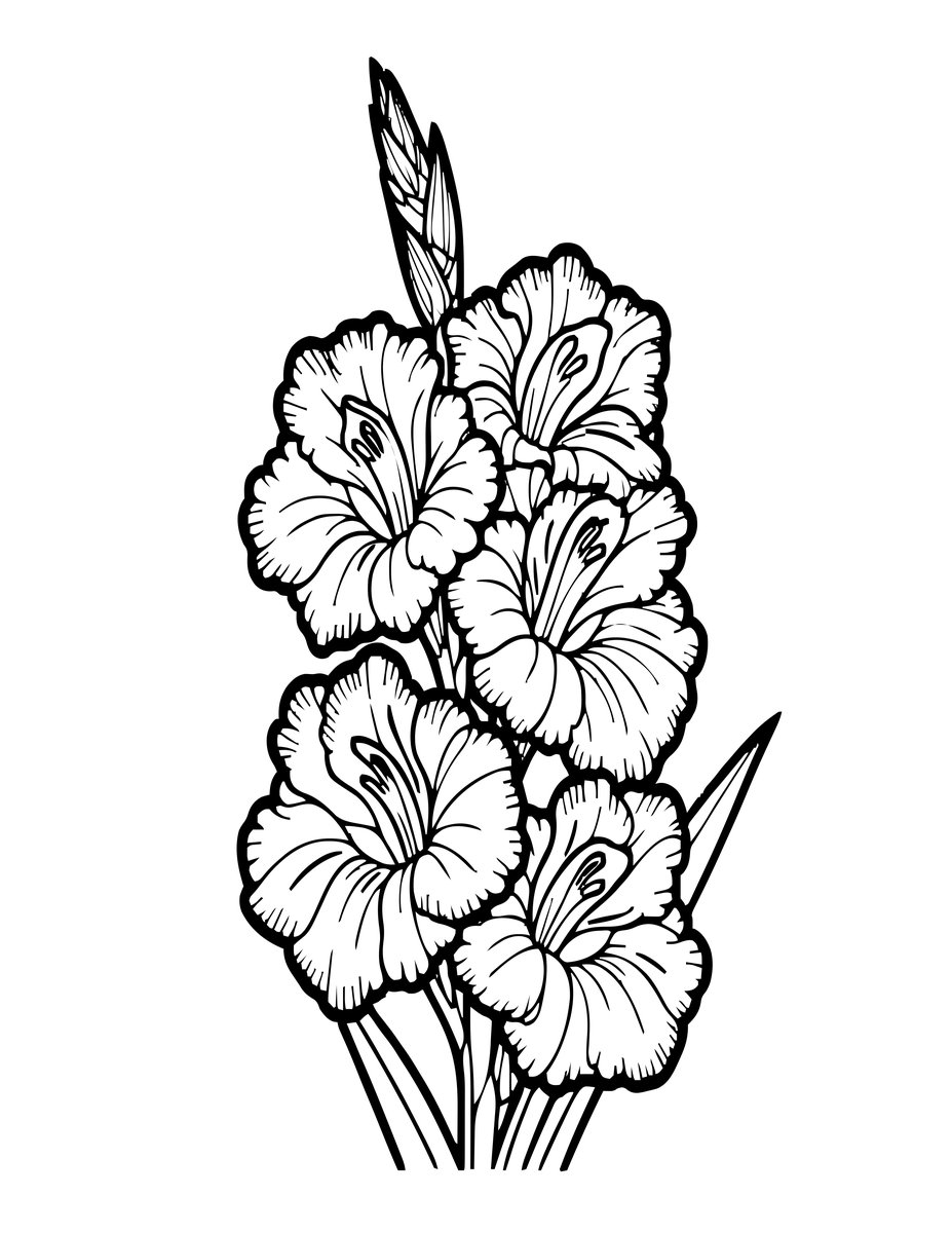 Evening Gladiolus - free printable coloring page