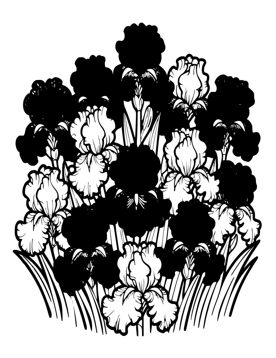 Iris Garden Bed - free printable coloring page
