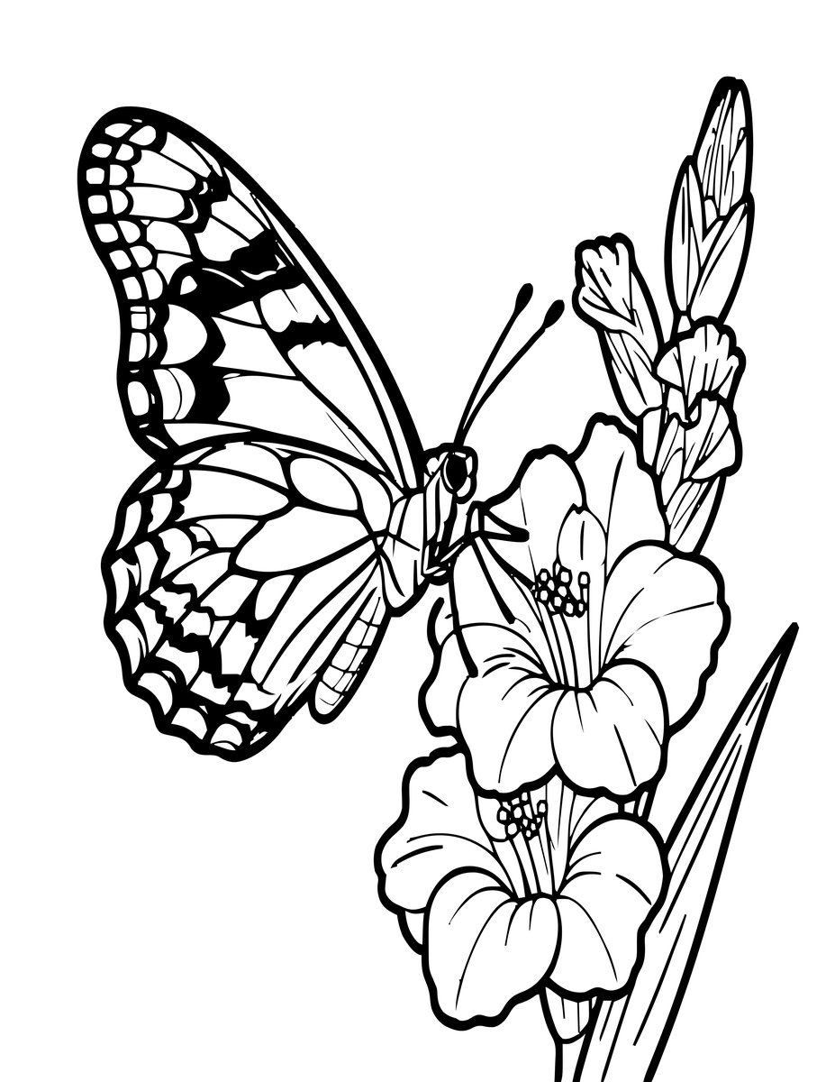 Butterfly on Gladiolus - free printable coloring page