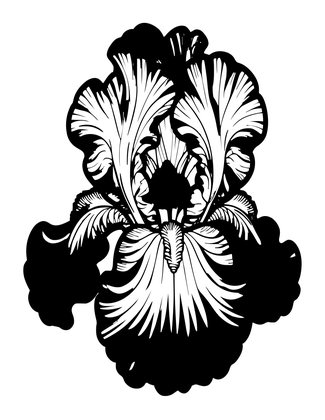 Purple Bearded Iris - Free printable coloring page