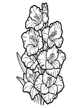 Peach Gladiolus - Free printable coloring page