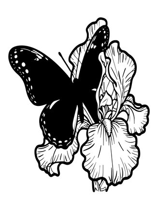 Iris and Butterfly - Free printable coloring page