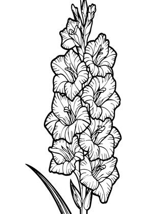 Gladiolus Spike - Free printable coloring page