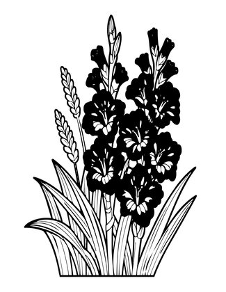 Salmon Gladiolus - Free printable coloring page