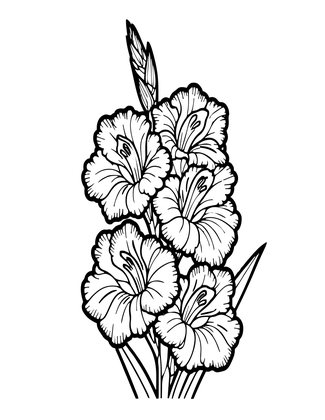 Evening Gladiolus - Free printable coloring page