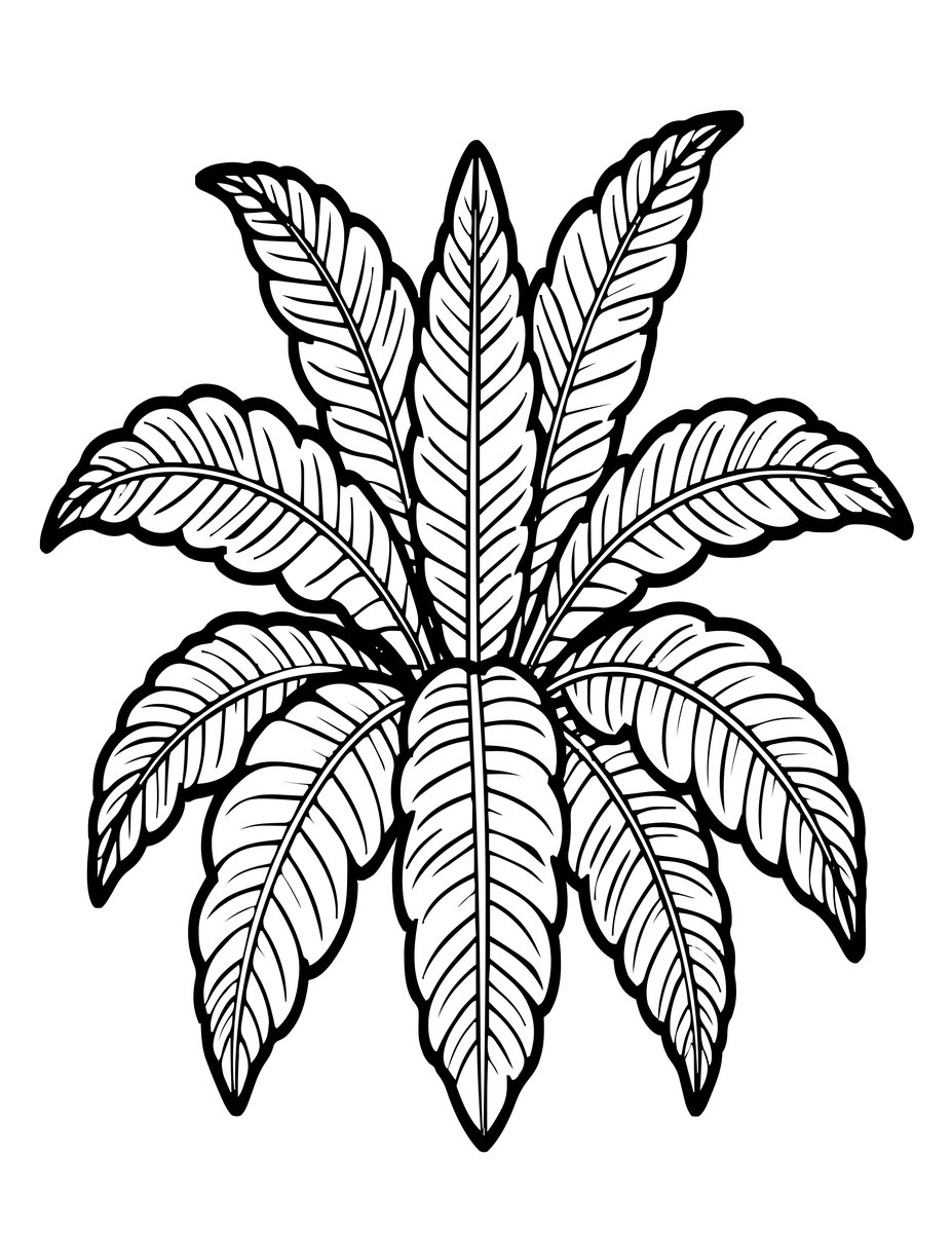 Bird's Nest Fern - free printable coloring page