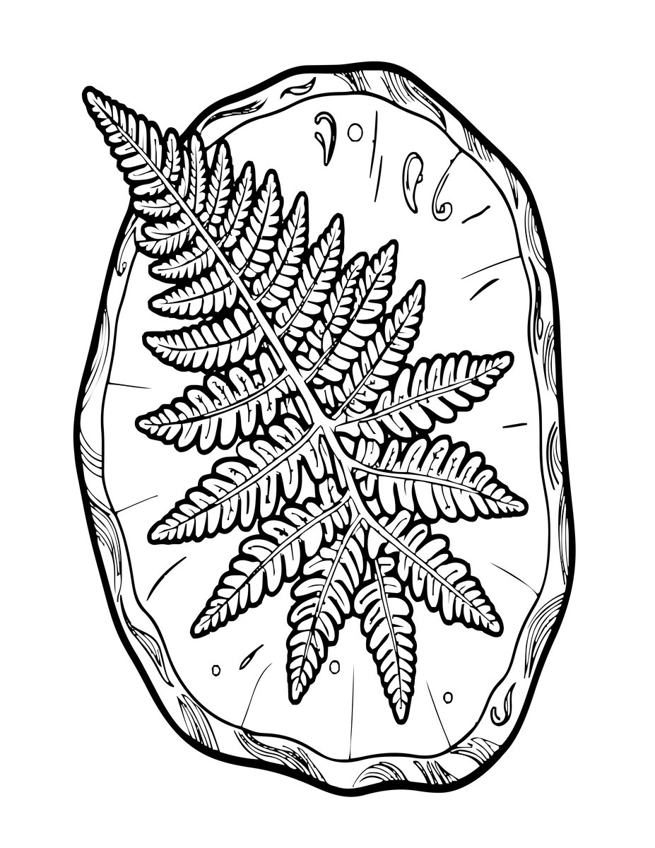 Fern Fossil - free printable coloring page