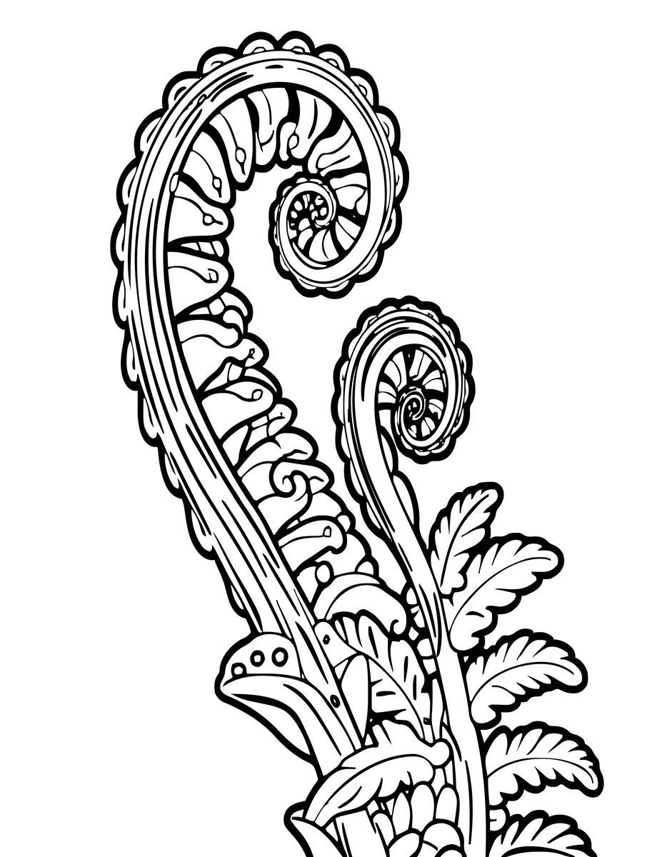 Fern Frond Unfurling - free printable coloring page