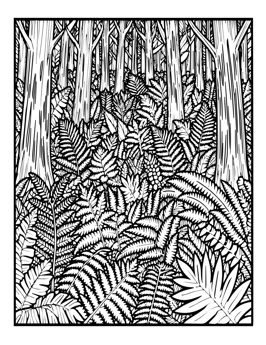 Woodland Fern Floor - free printable coloring page