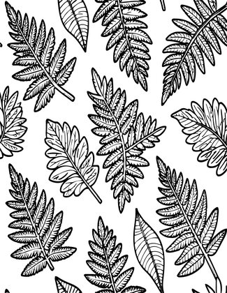 Fern Pattern - Free printable coloring page
