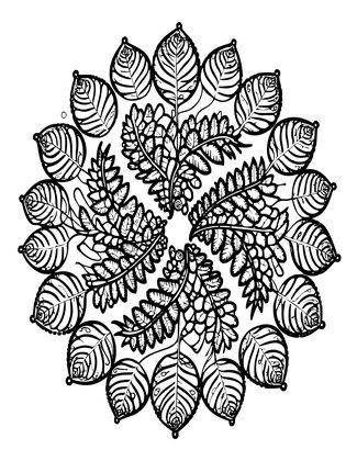 Fern Fractal - Free printable coloring page