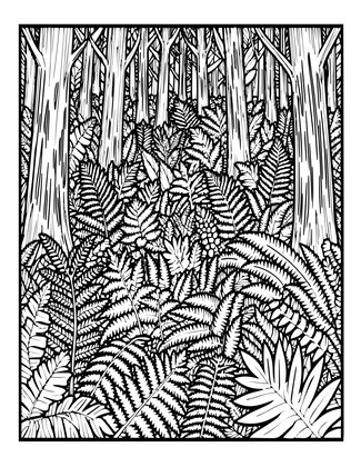 Woodland Fern Floor - Free printable coloring page