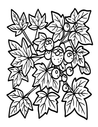 Ivy Botanical Study - Free printable coloring page