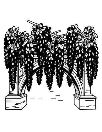 Bridge and Wisteria - Free printable coloring page