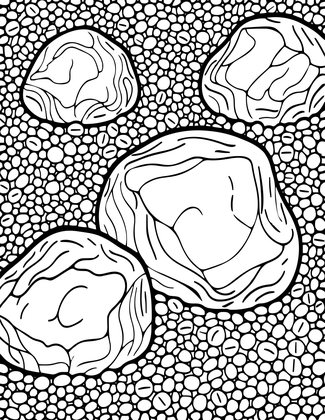 Karesansui Close-Up - Free printable coloring page