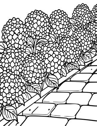 Hydrangea Border - Free printable coloring page