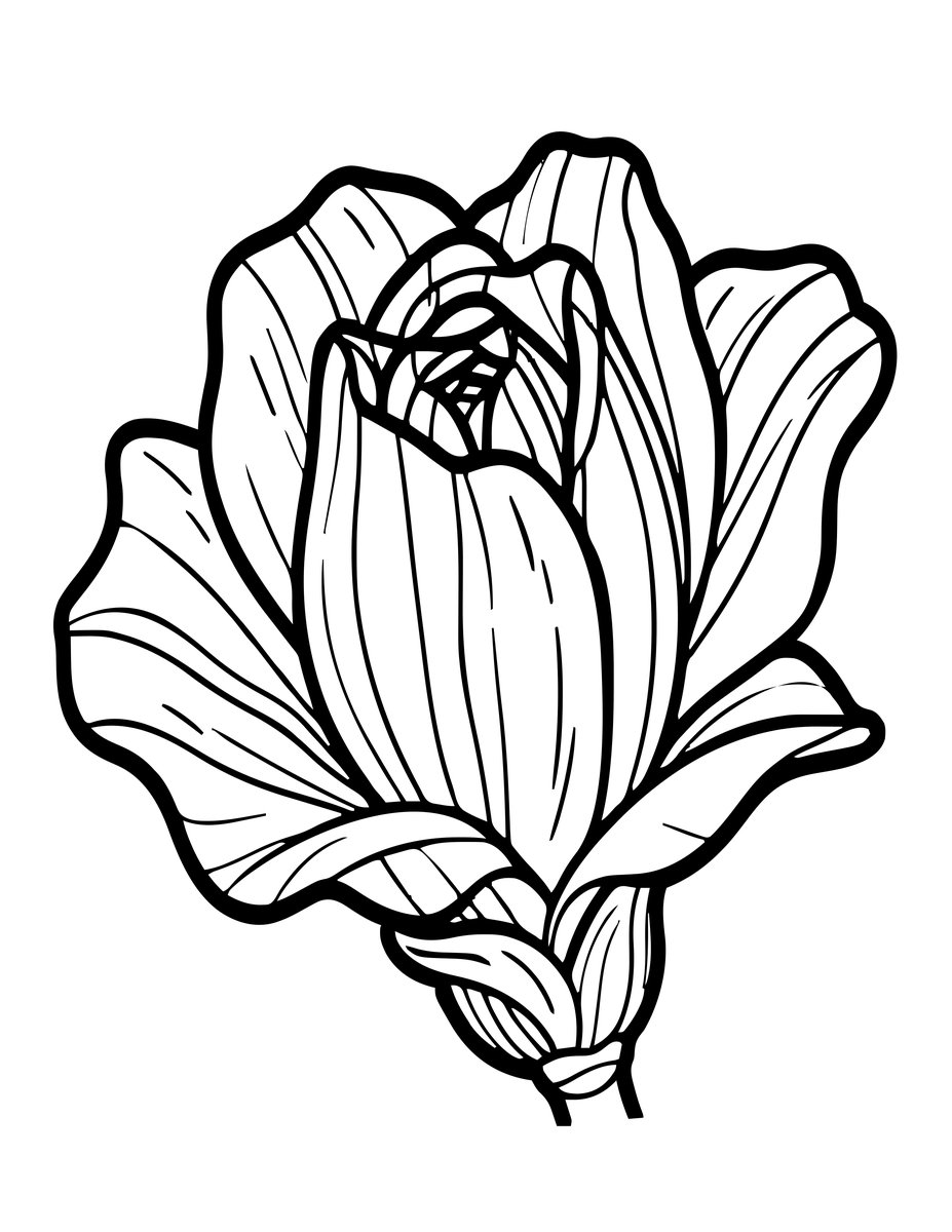 Bud Opening - free printable coloring page