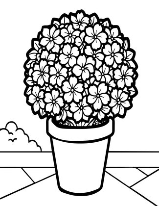 Terracotta Pot - Free printable coloring page