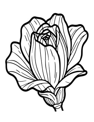 Bud Opening - Free printable coloring page
