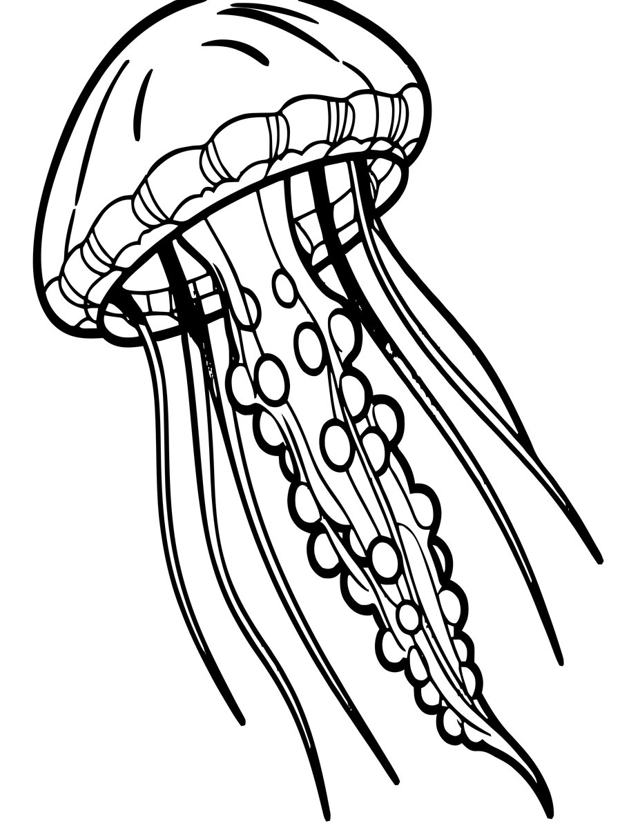 Jellyfish Tentacles - free printable coloring page