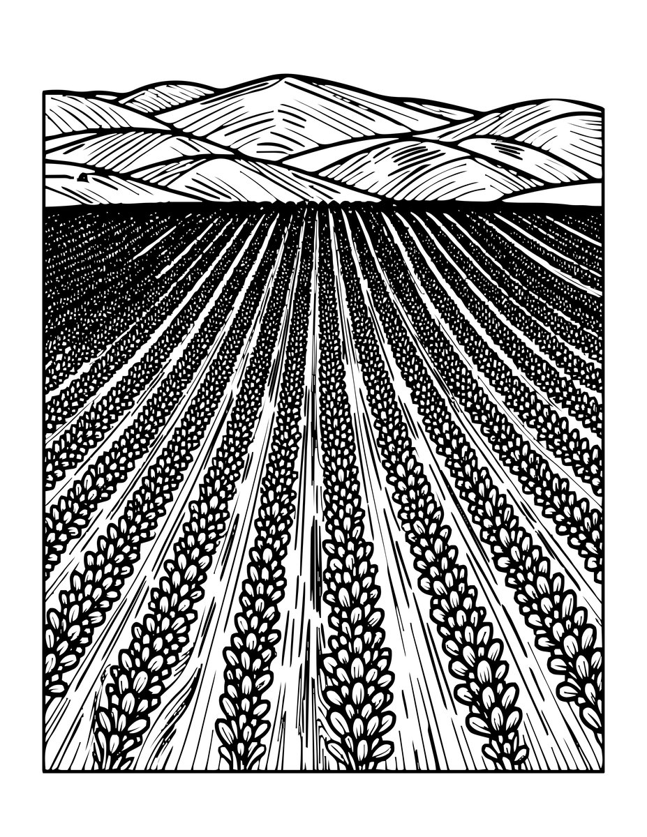 Provence Rows - free printable coloring page