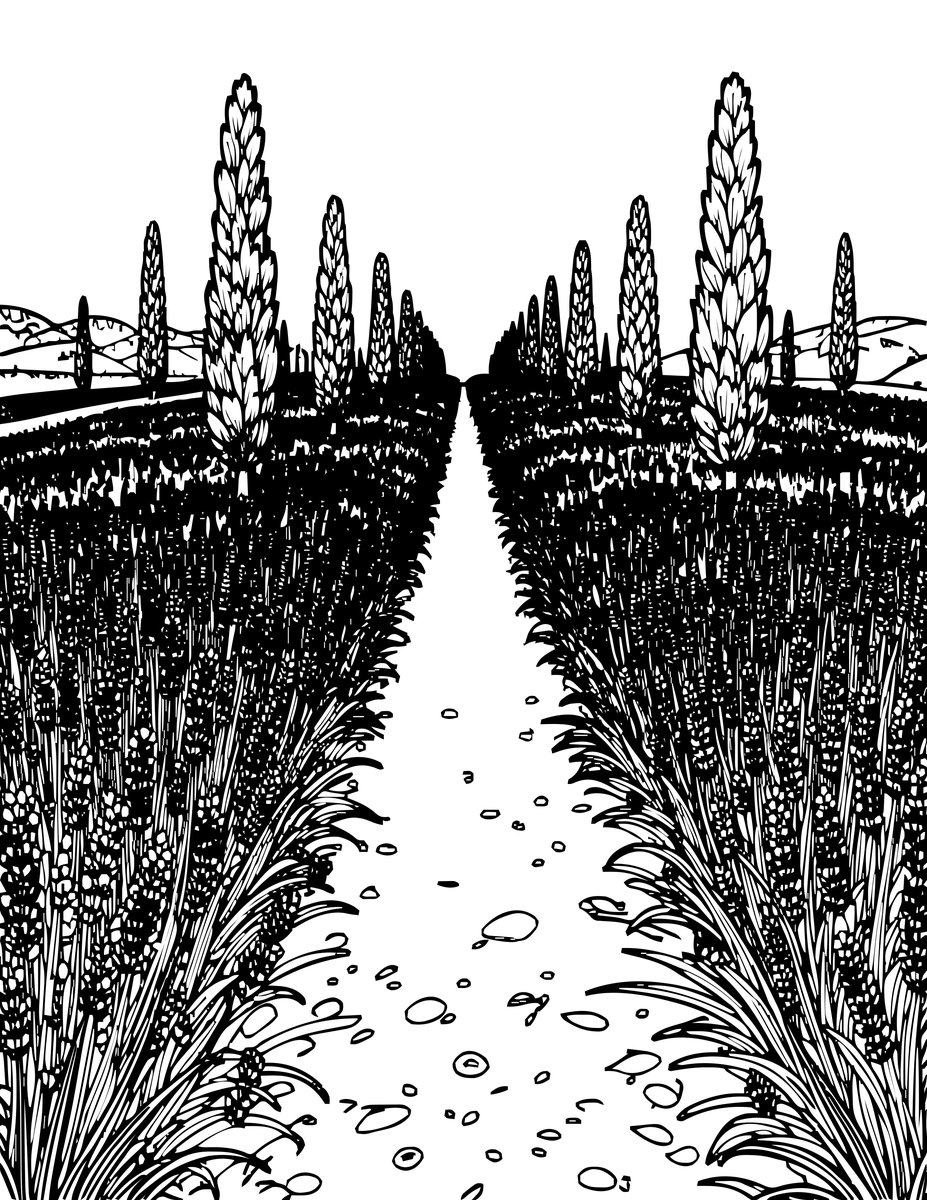 Lavender Path - free printable coloring page