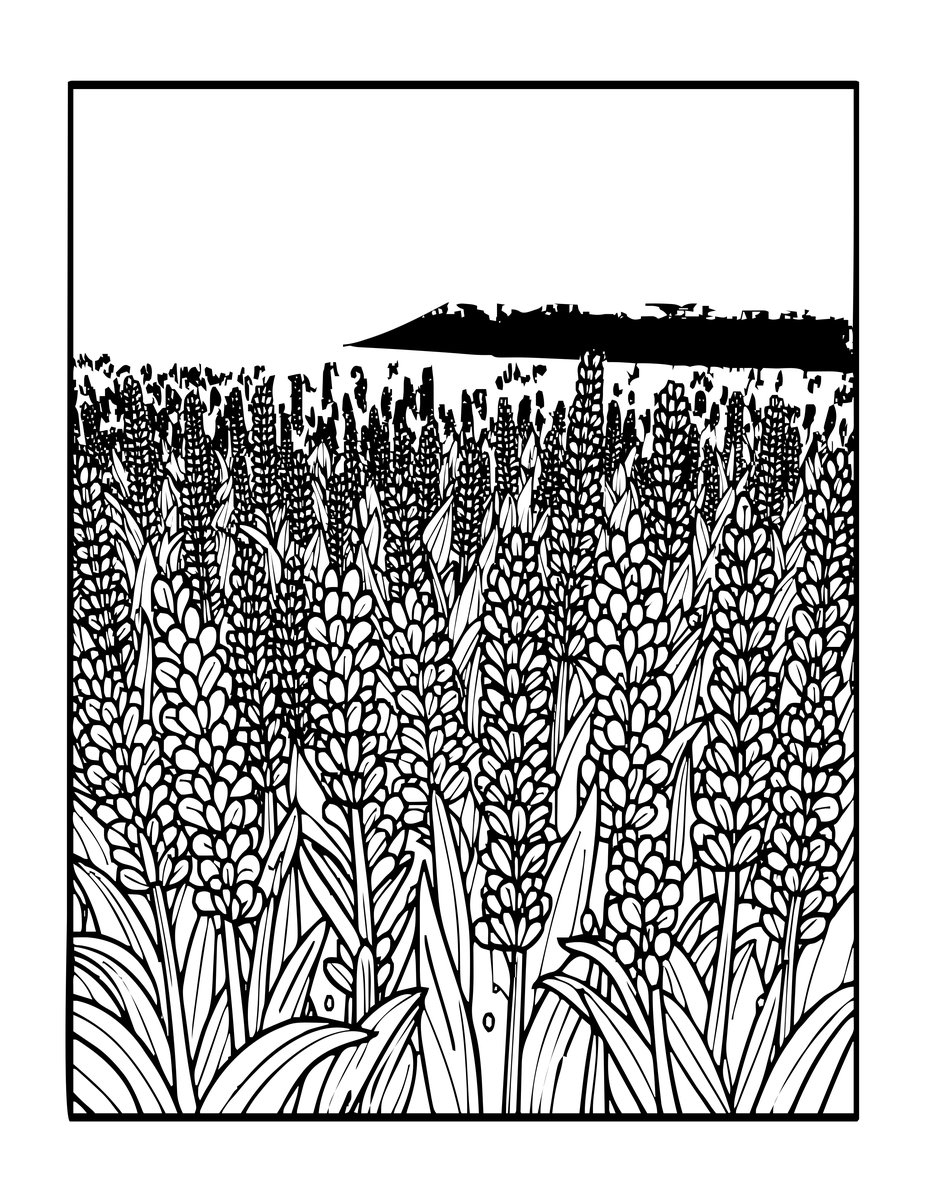 Lavender at Dawn - free printable coloring page